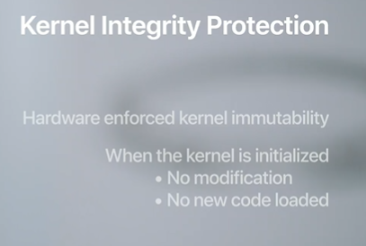 Kernel Integrity Protection
